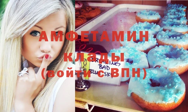 индика Алексин