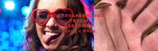 индика Алексин