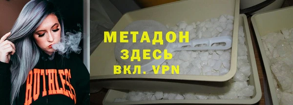 индика Алексин