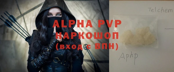 индика Алексин