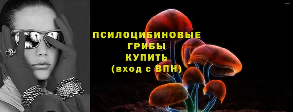 МДПВ Алексеевка