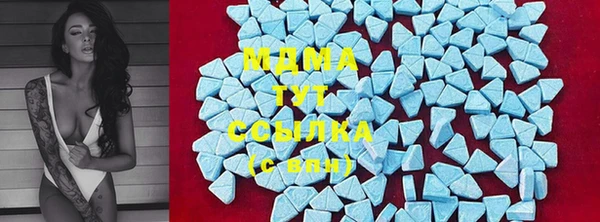индика Алексин