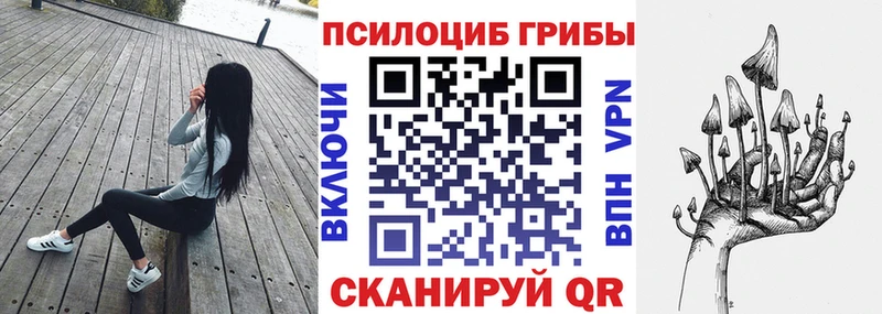дарк нет как зайти  Дзержинский  Галлюциногенные грибы GOLDEN TEACHER 