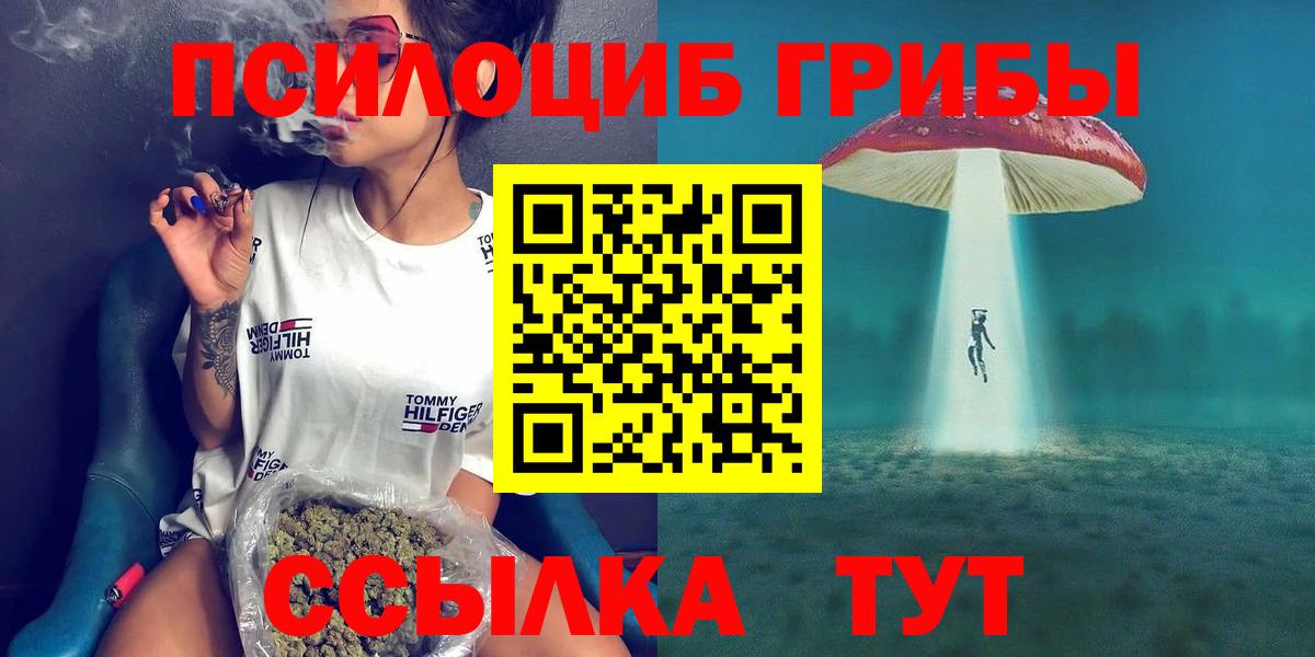 купить  цена  Вход с VPN  Дзержинский  Псилоцибиновые грибы мицелий 