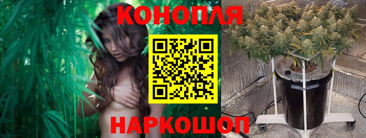 Бошки Шишки Bruce Banner Дзержинский